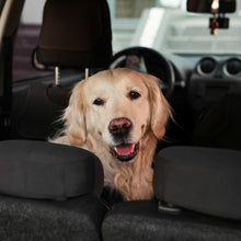 Load image into Gallery viewer, Specialty Detailing
